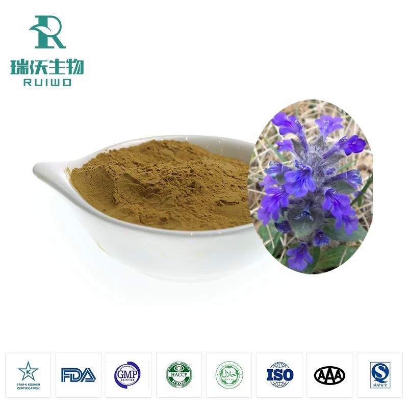 AJUGA TURKEST EXTRACT Powder