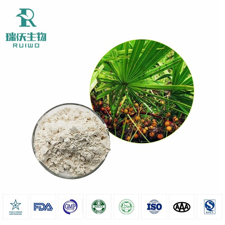 Saw Palmeto Extract Powder